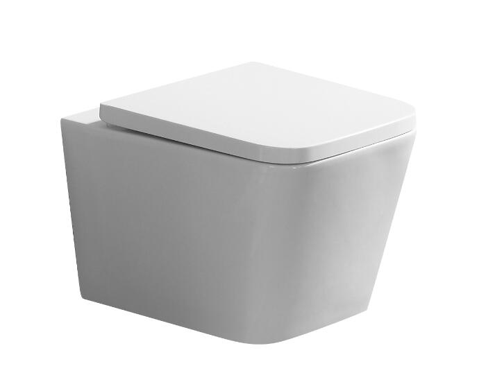 poland hot sell wall hung toilet.jpg